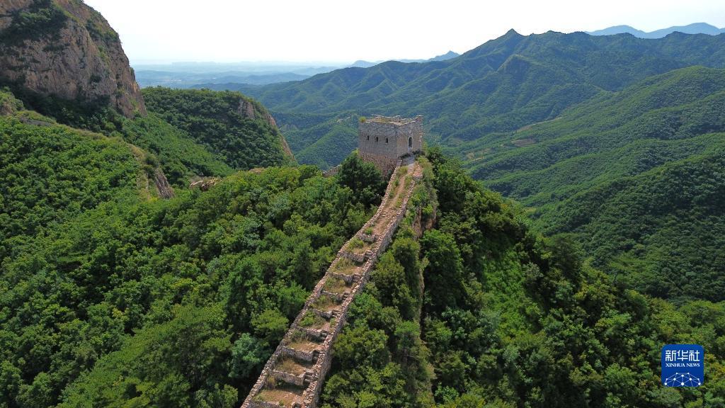普京网站是多少